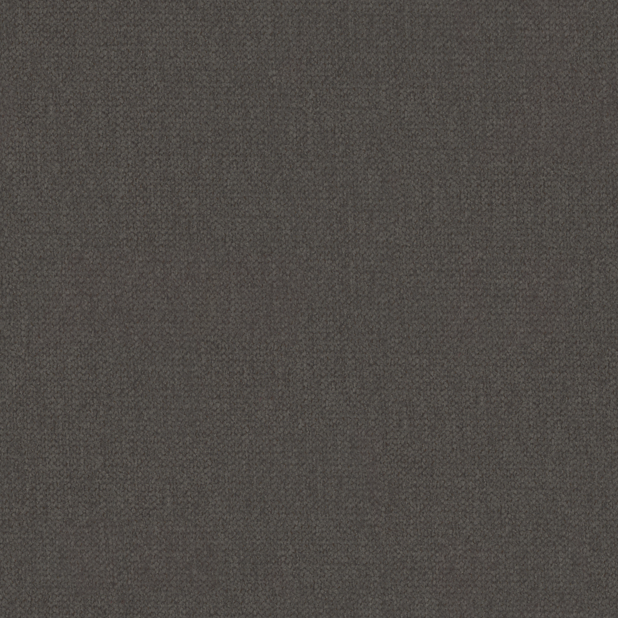 Taupe (ciemny szaro-brązowy)